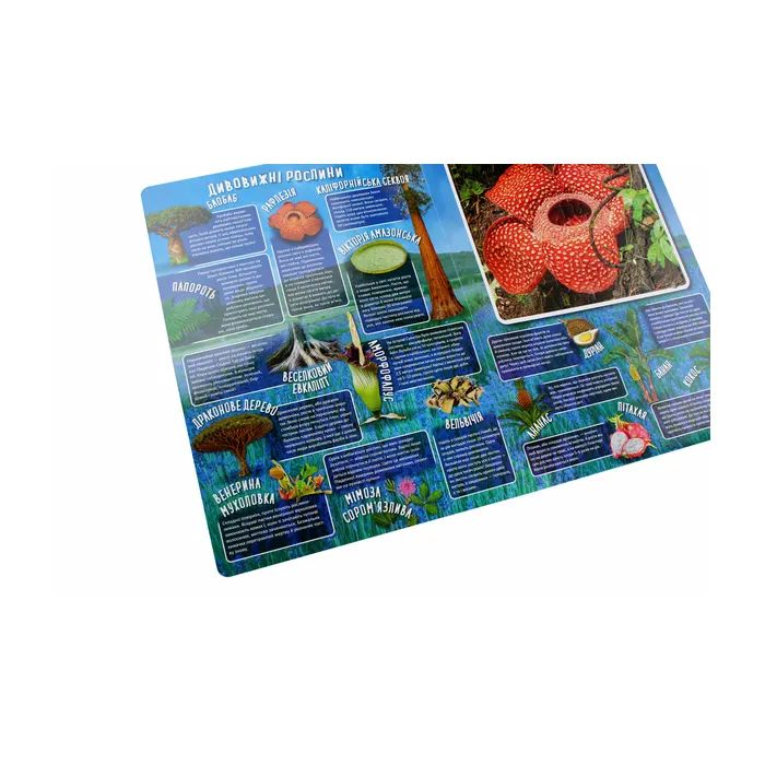Книга Дивовижний світ Vivat (9789669822611) зображення 6