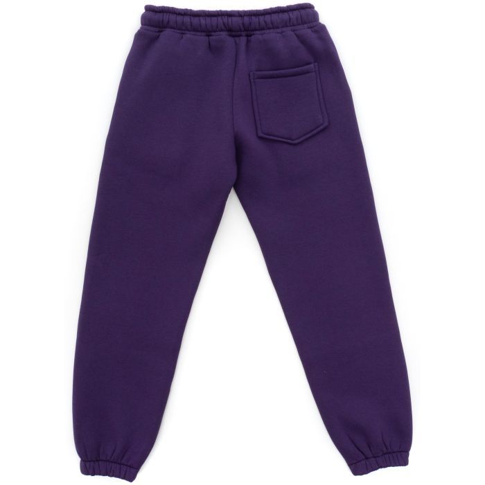 Спортивный костюм детский A-Yugi флисовый (7205-140G-lilac) изображение 6