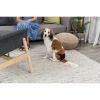 Гигиенические трусы для собак Trixie L 50-59 см (черные) (4011905234946) изображение 4