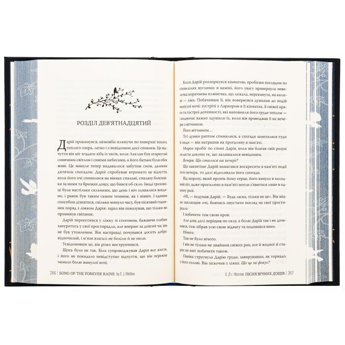 Книга Мусаї. Книга 1. Пісня вічних дощів - Е. Дж. Меллов Видавництво РМ (9786178373726) изображение 6