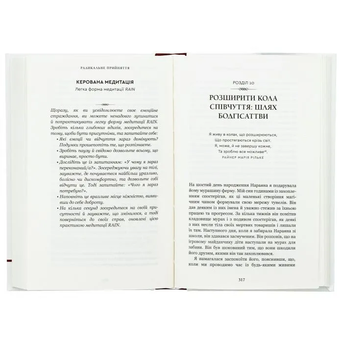 Книга Радикальне прийняття. Любов до себе, що звільнить від страху, сумнівів і тривог - Тара Брах BookChef (9786175482841) зображення 4