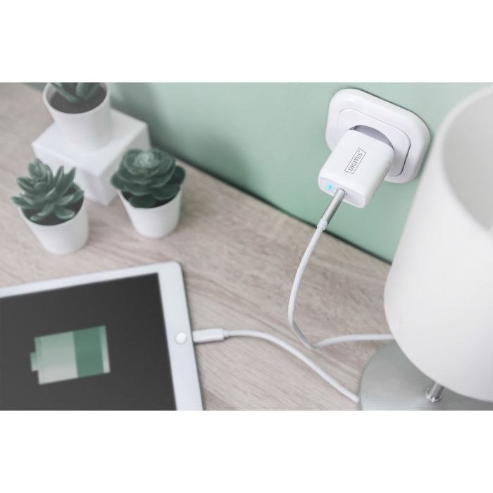 Зарядное устройство Digitus Universal USB-C (DA-10196) изображение 5