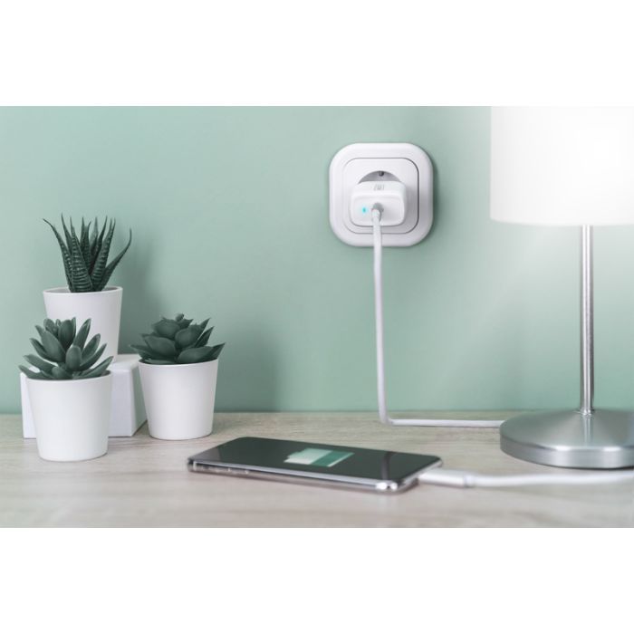 Зарядное устройство Digitus Universal USB-C (DA-10196) изображение 6