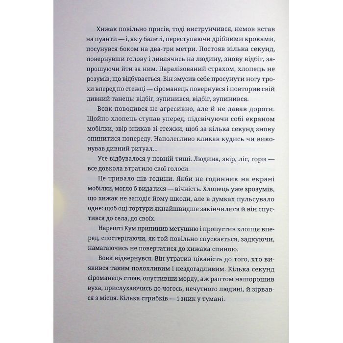 Книга Тамдевін. Бора - Галина Вдовиченко Видавництво Старого Лева (9789664483114) изображение 10