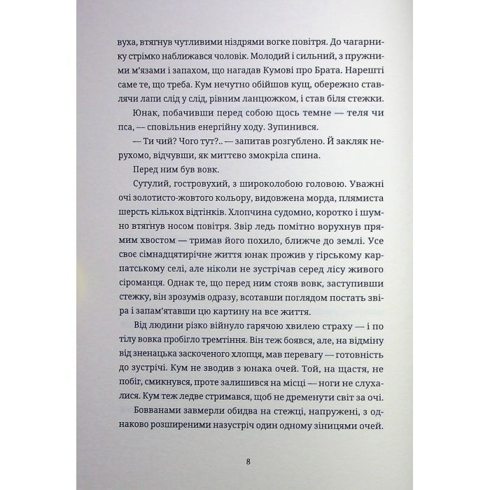 Книга Тамдевін. Бора - Галина Вдовиченко Видавництво Старого Лева (9789664483114) изображение 8
