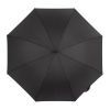Парасоля Fulton Knightsbridge-1 G828 Black (G828-015773) зображення 3