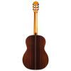 Гитара классическая Cordoba C10 CD изображение 5