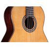 Гитара классическая Cordoba C10 CD изображение 6