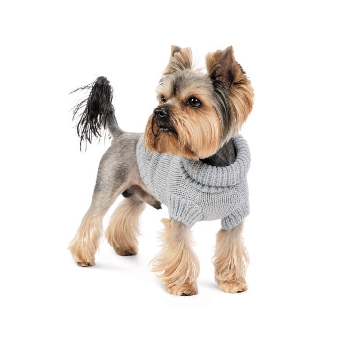 Свитер для животных Pet Fashion Sam L серый (4823082439232) изображение 3