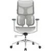 Офисное кресло Sihoo DORO S100 Mesh White (S100-M302) изображение 2