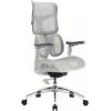 Офисное кресло Sihoo DORO S100 Mesh White (S100-M302)