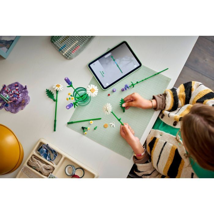 Конструктор LEGO Botanicals Ромашки (11508) изображение 9