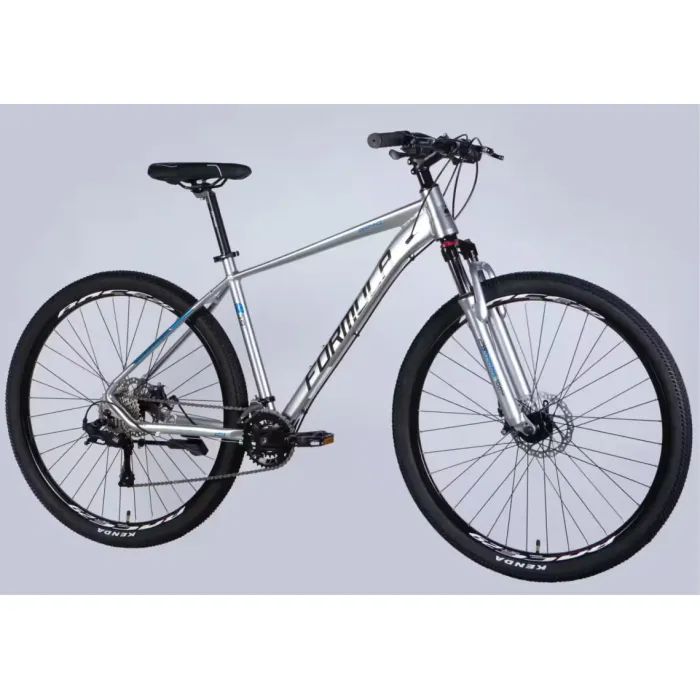 Велосипед Formula 29" ZEPHYR 3.0 DD рама-19" AL 2026 срiблястий (OPS-FR-29-443) зображення 2