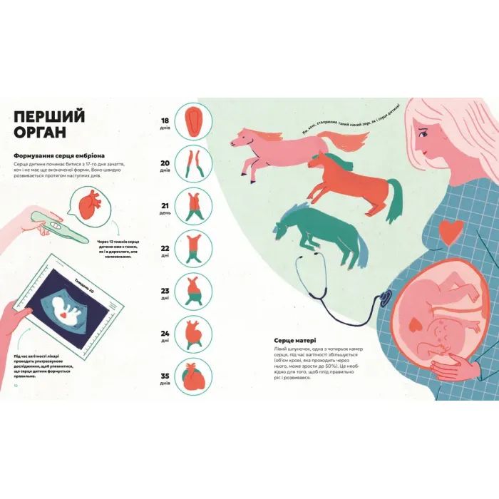 Книга Серце. Історія, наука і багато любові - Ноемі Фабра Видавництво Старого Лева (9789664485507) зображення 4