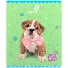 Зошит Kite Studio Pets, 24 аркуша, клітинка (SP26-238) зображення 9