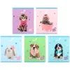 Зошит Kite Studio Pets, 24 аркуша, клітинка (SP26-238)