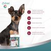 Витамины для собак 8in1 Excel Multi Vitamin Small Breed мультивитамин 70 шт (4048422183990) изображение 9