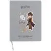 Дневник школьный Kite Harry Potter, твердая обложка (HP26-264)