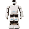 Робот Leju Robot Aelos Pro Version с пультом д/у (AL-PRO-E1E)