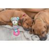 Іграшка для собак Trixie «Junior» Ведмедик з кільцем 23 см (4011905361772) зображення 3