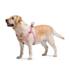 Шлей для собак WAUDOG Re-cotton с QR-паспортом М розовая (03327) изображение 5