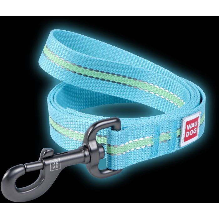 Повідець для собак WAUDOG Nylon світонакоплювальний S Ш 15 мм блакитний (45662) зображення 3