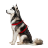 Шлей для собак WAUDOG Nylon анатомическая H-образная с QR-паспортом "Шотландка красная" пластиковый фастекс XL (323-0100) изображение 3