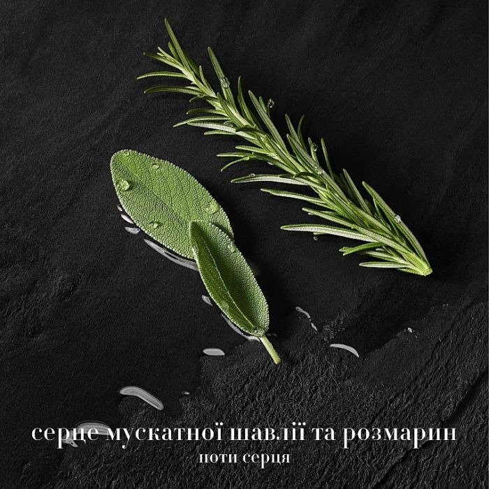 Парфуми Giorgio Armani Acqua Di Gio Parfum 100 мл (3614273954167) зображення 4