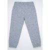 Штаны детские Breeze спортивные на манжетах (20874-116B-gray) изображение 2