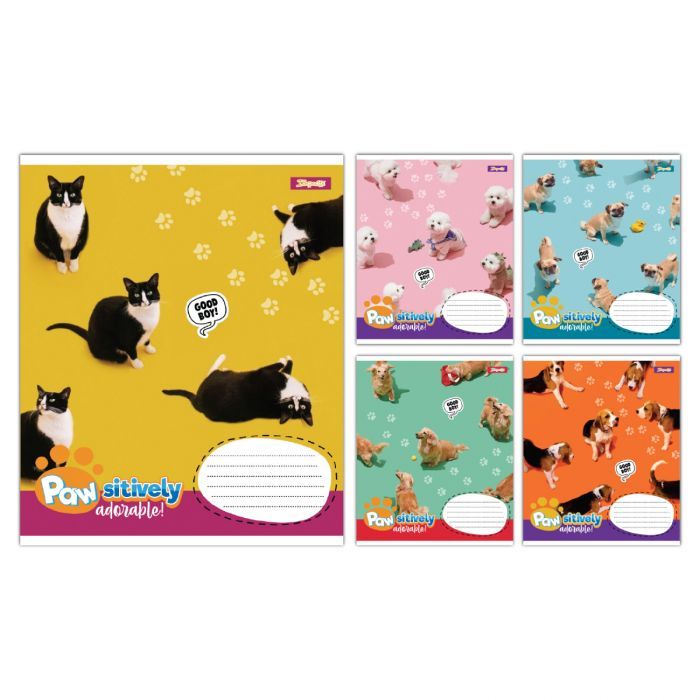 Тетрадь 1 вересня Pawsitively А5 12 листов линия (768236)