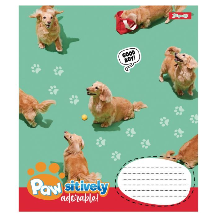 Тетрадь 1 вересня Pawsitively А5 12 листов линия (768236) изображение 3