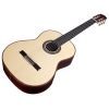 Гитара классическая Cordoba C10 SP изображение 2