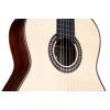 Гитара классическая Cordoba C10 SP изображение 3
