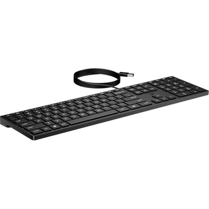Клавіатура HP 320K USB UA Black (9SR37UT) зображення 4