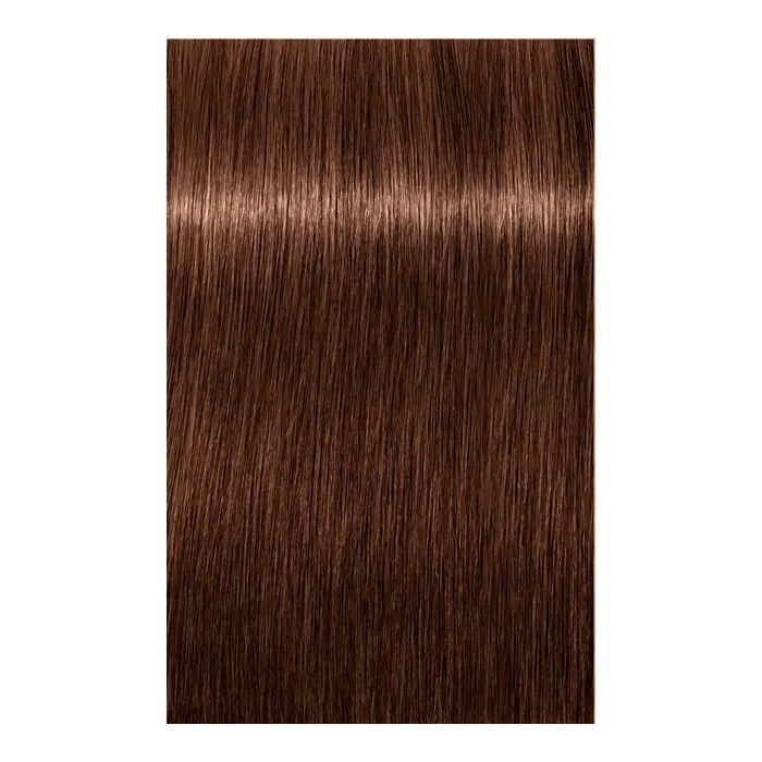 Краска для волос Schwarzkopf Professional Igora Royal 6-00 60 мл (4045787204766) изображение 2