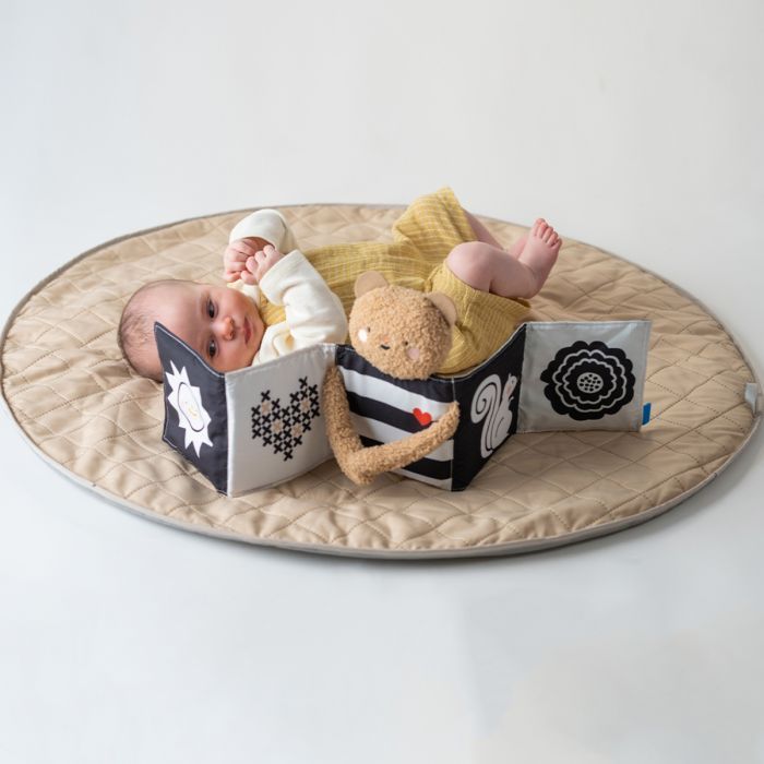 Развивающая игрушка Taf Toys Развивающая книжка Объятия мишки 2 в 1 (13795) изображение 9