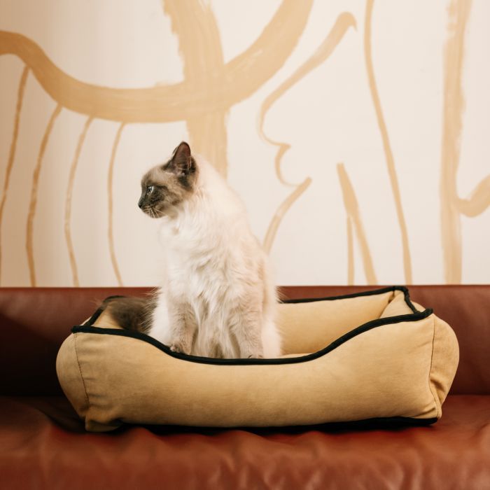 Лежак для животных Savory Pure Zen S 65x50 см (2700000049372) изображение 3