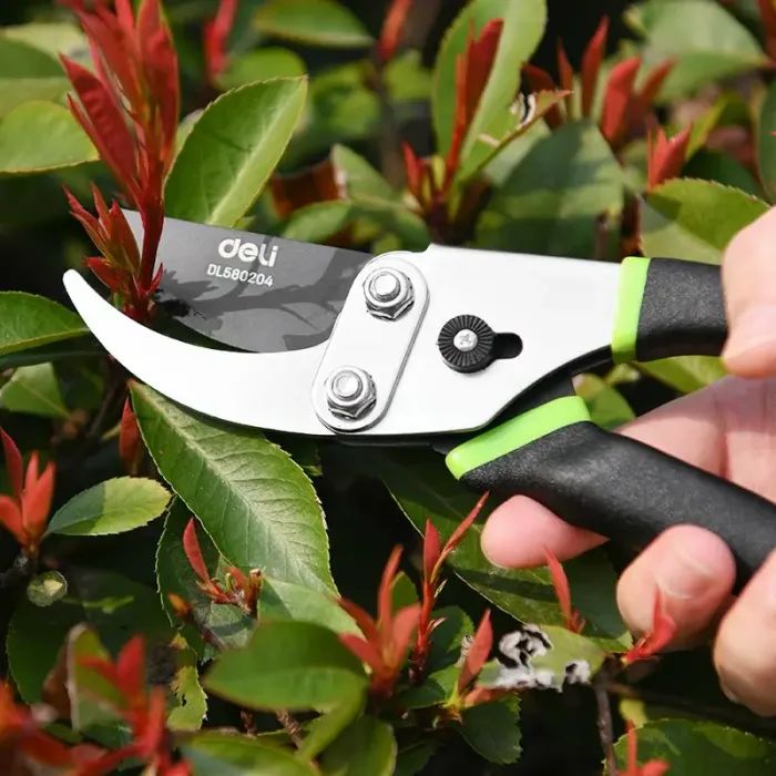 Секатор Deli 20 см (EDL580204) зображення 6