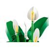 Конструктор LEGO Botanicals Спатифілум (11504) зображення 3