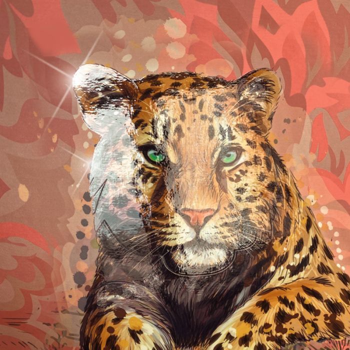 Книга записна Brunnen Коледж-блок А4 Premium Safari, лінія 80 аркушів (10-679 27 221) зображення 3