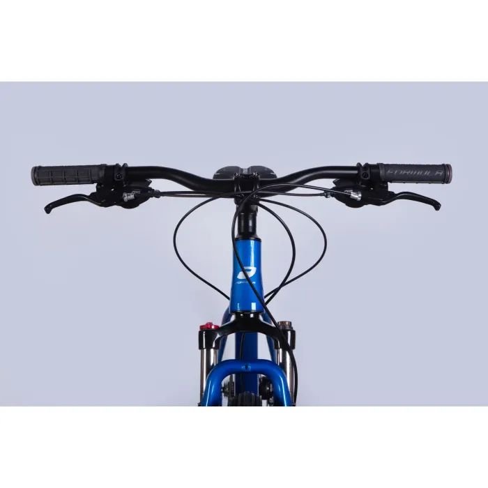 Велосипед Formula 29" ZEPHYR 3.0 DD CS рама-19" AL 2026 синій (OPS-FR-29-445) изображение 6