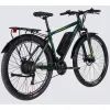 Электровелосипед Formula 29" eMOTION PLUS DD FR рама-19" 36B 12.5А*г 500Вт 2026 зелено-сірий (ELB-FR-29-257) изображение 3