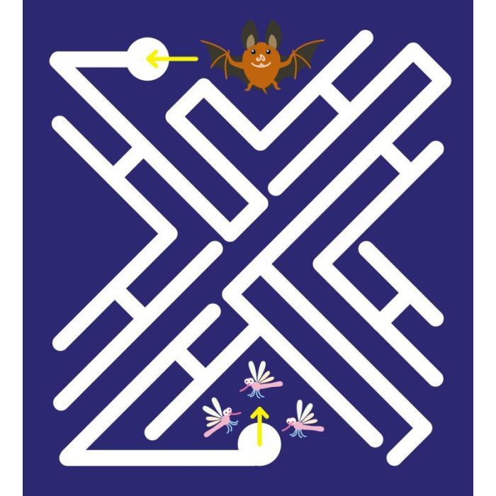 Книга Багаторазові лабіринти. Їжачок Ранок (9789667615475) изображение 4