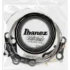 Струни для гітари Ibanez IEGS6 Electric Guitars Strings 09-42 (301869) зображення 3