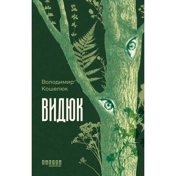 Книга Видюк - В.А. Кошелюк Фабула (9786175224120)