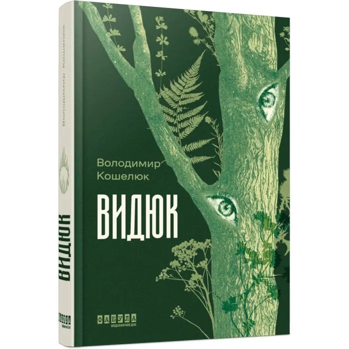 Книга Видюк - В.А. Кошелюк Фабула (9786175224120) зображення 2