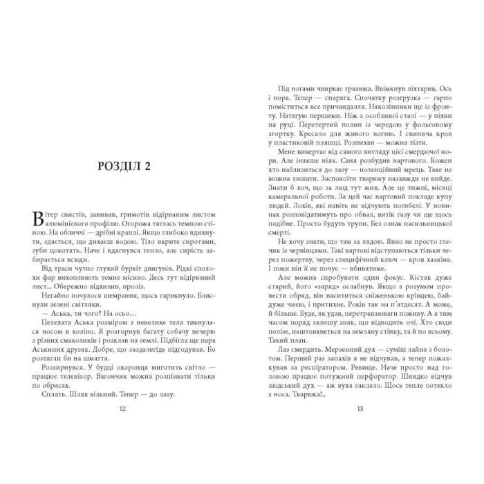 Книга Видюк - В.А. Кошелюк Фабула (9786175224120) зображення 9