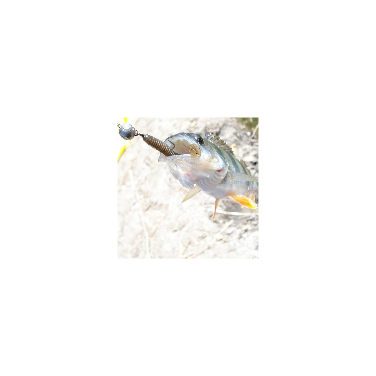 Силикон рыболовный Keitech Swing Impact 2.5" (10 шт/упак) ц:422 sight flash (1551.05.22) изображение 2