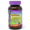 Мультивітамін Bluebonnet Nutrition Мультивітаміни для Дітей, Смак Фруктів, Rainforest Animalz, (BLB0191)