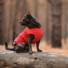 Жилет для животных Pet Fashion "E.Vest" S красный (4823082424450) изображение 5